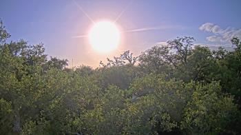 Weather camera view of Metairie Club Gardens.