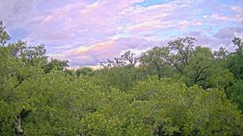 Weather camera view of Metairie Club Gardens.