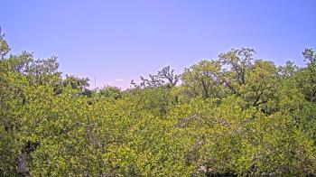 Weather camera view of Metairie Club Gardens.