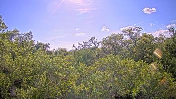 Weather camera view of Metairie Club Gardens.