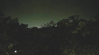Weather camera view of Metairie Club Gardens.