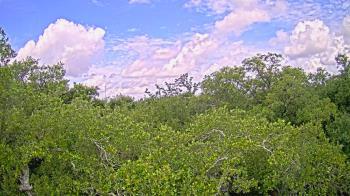 Weather camera view of Metairie Club Gardens.