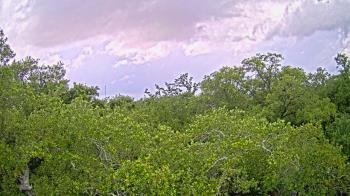 Weather camera view of Metairie Club Gardens.
