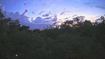 Weather camera view of Metairie Club Gardens.
