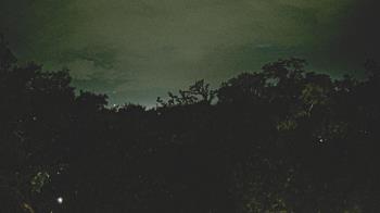 Weather camera view of Metairie Club Gardens.