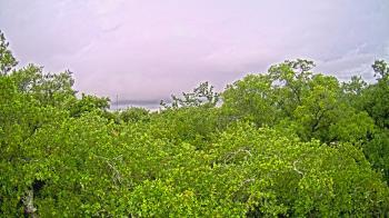 Weather camera view of Metairie Club Gardens.