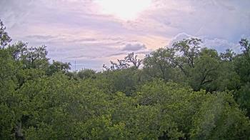 Weather camera view of Metairie Club Gardens.