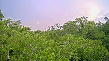 Weather camera view of Metairie Club Gardens.