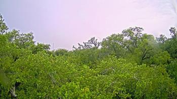 Weather camera view of Metairie Club Gardens.