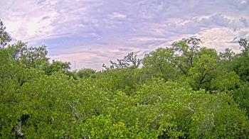 Weather camera view of Metairie Club Gardens.