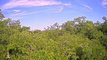 Weather camera view of Metairie Club Gardens.