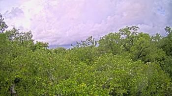 Weather camera view of Metairie Club Gardens.