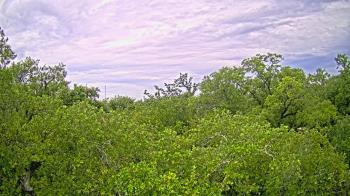 Weather camera view of Metairie Club Gardens.