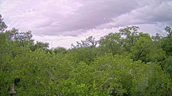 Weather camera view of Metairie Club Gardens.