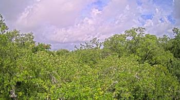 Weather camera view of Metairie Club Gardens.