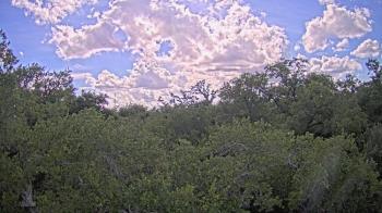 Weather camera view of Metairie Club Gardens.