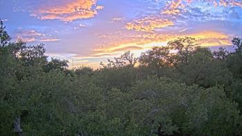 Weather camera view of Metairie Club Gardens.