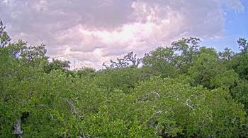 Weather camera view of Metairie Club Gardens.