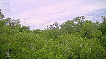 Weather camera view of Metairie Club Gardens.