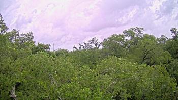 Weather camera view of Metairie Club Gardens.