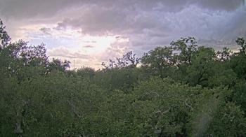 Weather camera view of Metairie Club Gardens.