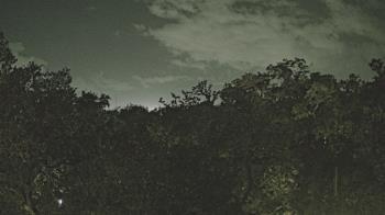 Weather camera view of Metairie Club Gardens.