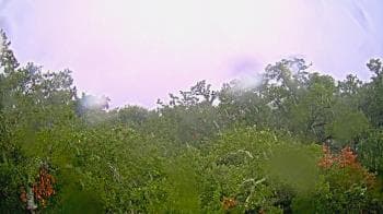 Weather camera view of Metairie Club Gardens.