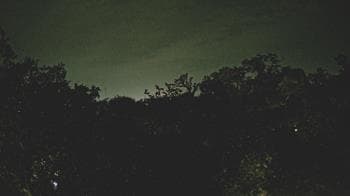 Weather camera view of Metairie Club Gardens.