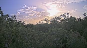 Weather camera view of Metairie Club Gardens.