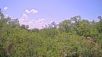 Weather camera view of Metairie Club Gardens.