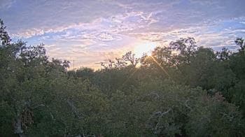 Weather camera view of Metairie Club Gardens.