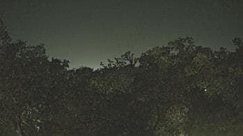 Weather camera view of Metairie Club Gardens.