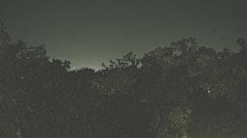 Weather camera view of Metairie Club Gardens.