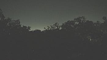 Weather camera view of Metairie Club Gardens.