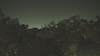 Weather camera view of Metairie Club Gardens.