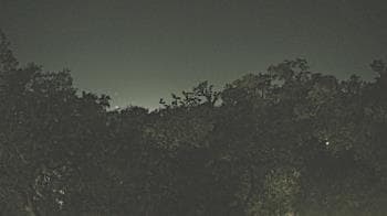 Weather camera view of Metairie Club Gardens.