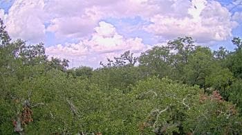 Weather camera view of Metairie Club Gardens.