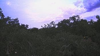 Weather camera view of Metairie Club Gardens.