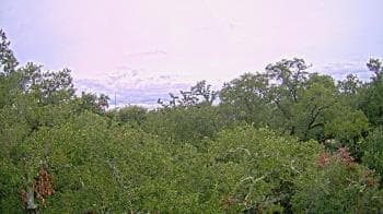 Weather camera view of Metairie Club Gardens.