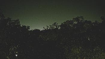 Weather camera view of Metairie Club Gardens.