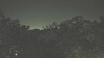Weather camera view of Metairie Club Gardens.