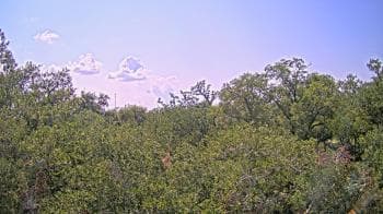 Weather camera view of Metairie Club Gardens.