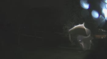 Weather camera view of Warwick Hills Golf & Country Club.