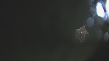 Weather camera view of Warwick Hills Golf & Country Club.