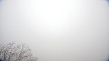 Weather camera view of WHTM Marysville Blue Mtn 1000 ft elev.