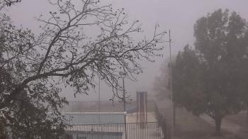 Weather camera view of Camp Sweeney.