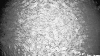 Weather camera view of North Point HS.