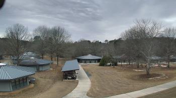 Weather camera view of Camp Twin Lakes - Will-a-Way.
