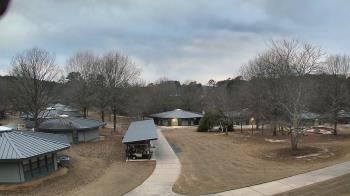 Weather camera view of Camp Twin Lakes - Will-a-Way.