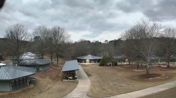 Weather camera view of Camp Twin Lakes - Will-a-Way.